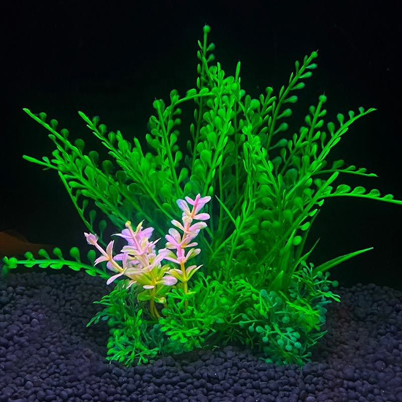 Aquarium Decoration Manufacturer - Hot Sale Colorful Plastic Seaweed Fish Tank Decor