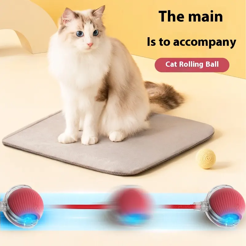 Smart Pet Toy Manufacturer - New Design Interactive Smart Cat Toy Ball Fast Rolling Dog Toy