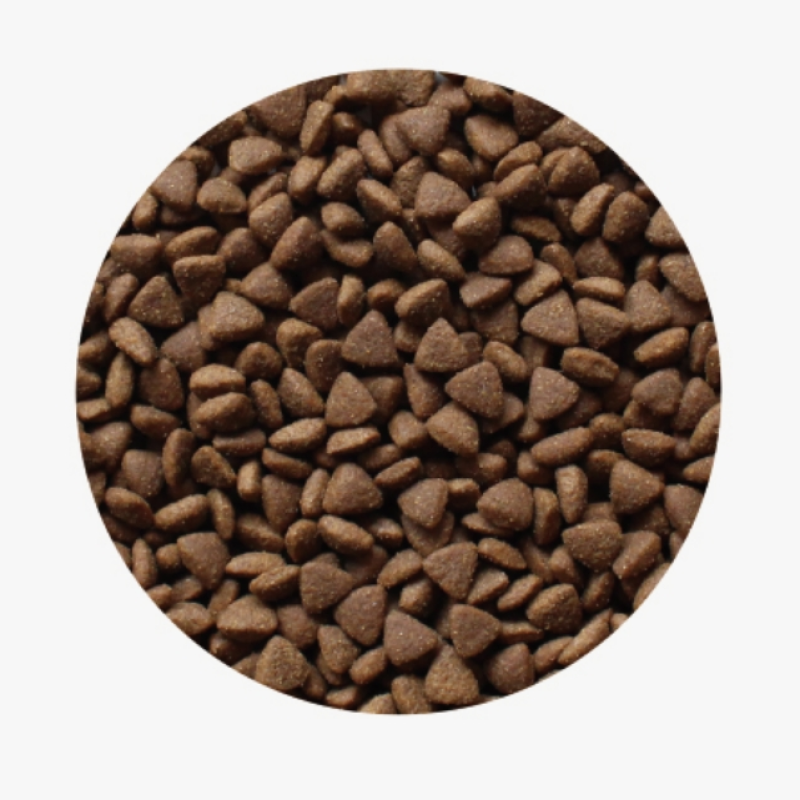 Cat Dry Food Supplier - Grain Free Fresh Meat 2.5kg