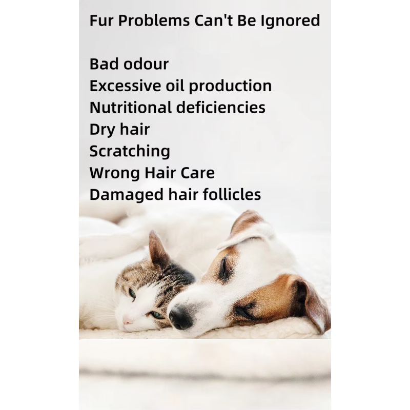 Pet Shampoo Supplier - Private Label Organic Gentle