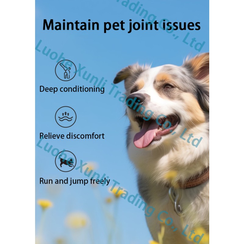 Chondroitin Sulfate Supplier - Natural Dietary Supplement