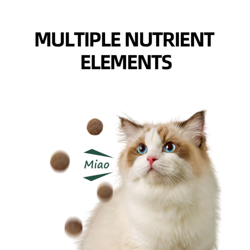 Cat Dry Food Supplier - Grain Free Fresh Meat 2.5kg