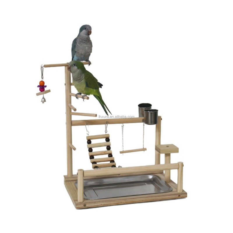 Parrot Play Stand Supplier - Interactive Playground