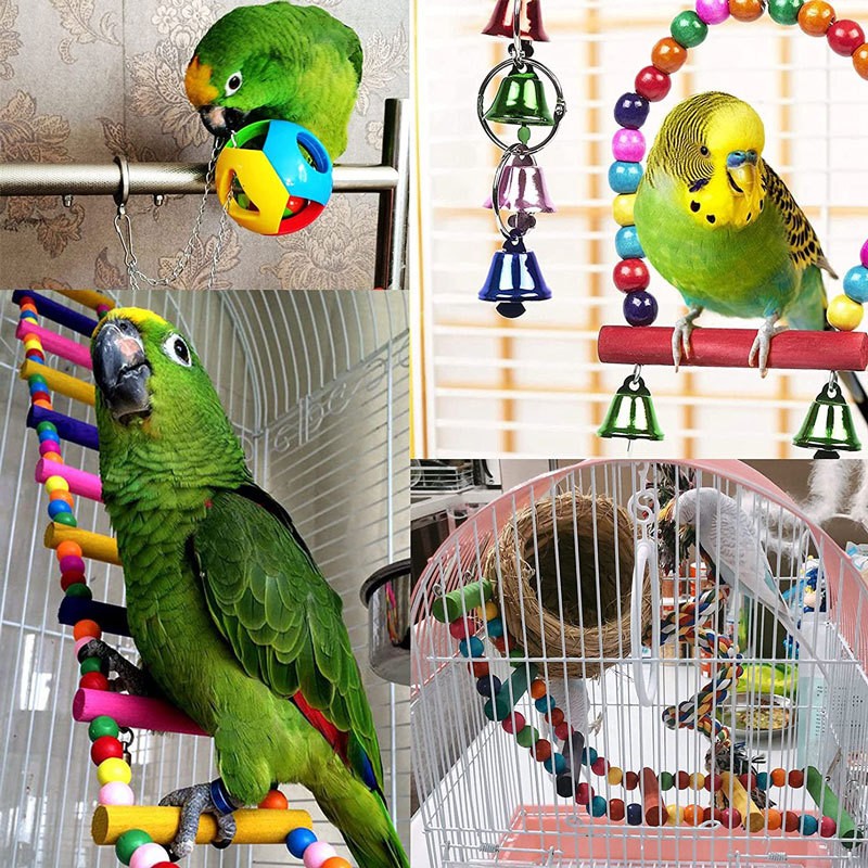Parrot Chewing Toys Supplier - Safe Material Stand