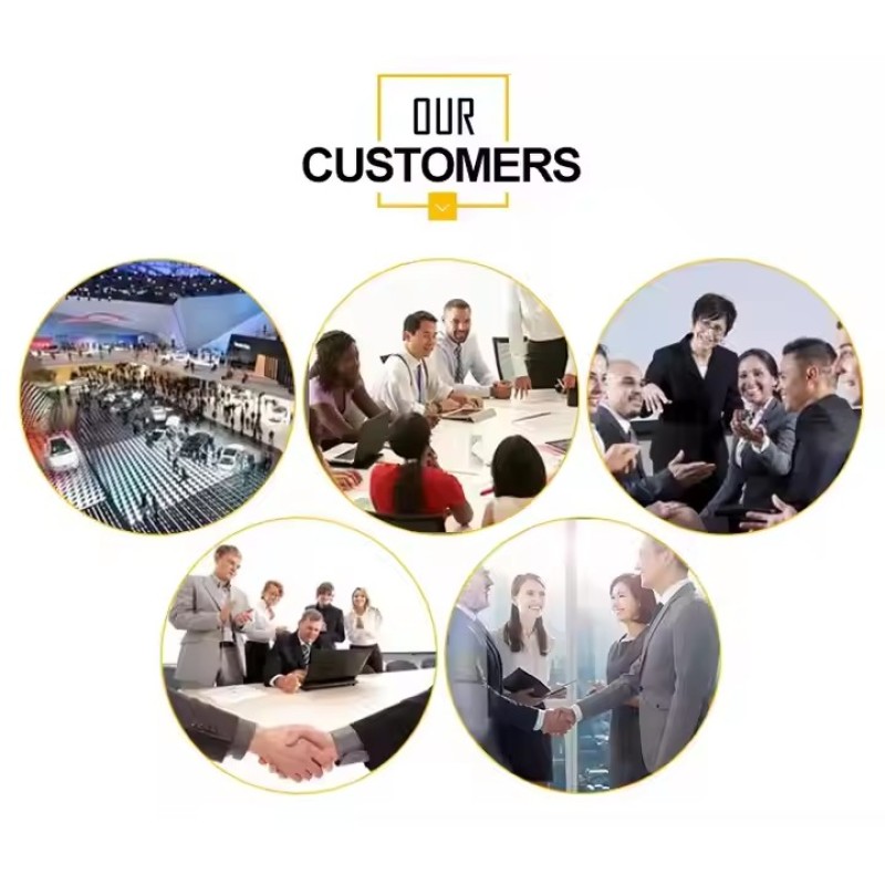 Freeze Dried Pet Food Factory - Custom Raw Chicken Rabbit