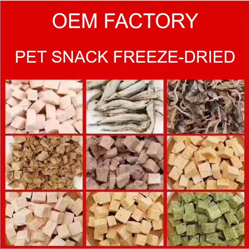 Pet Treats Supplier - High Nutrition Dry Cat Food