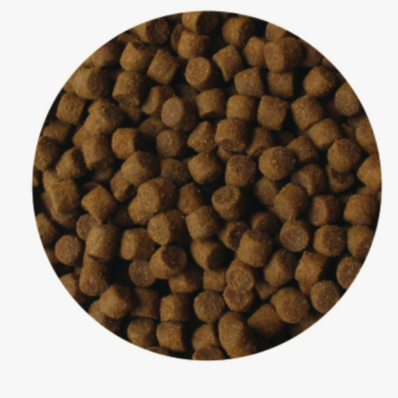 Cat Dry Food Supplier - Grain Free Fresh Meat 2.5kg