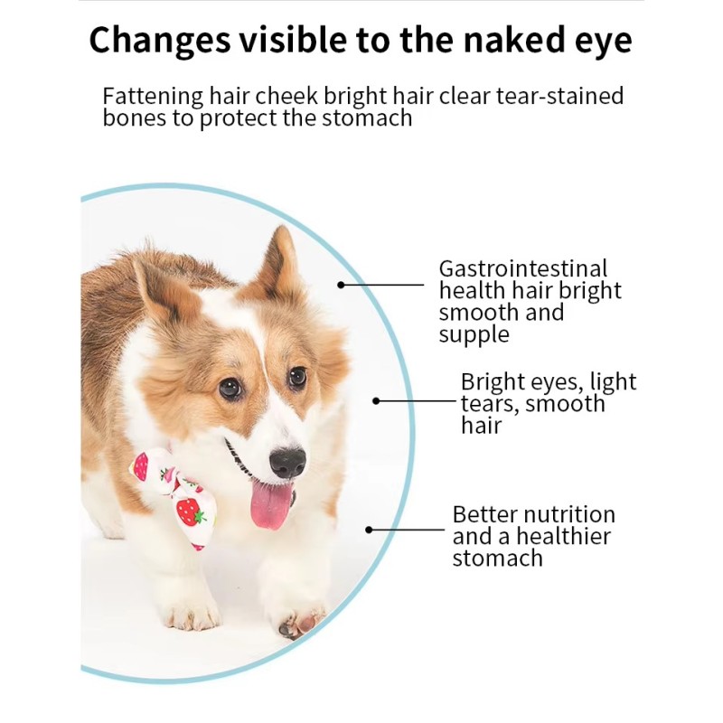 Freeze Dried Quail Supplier - Pet Food Nutrition Factory