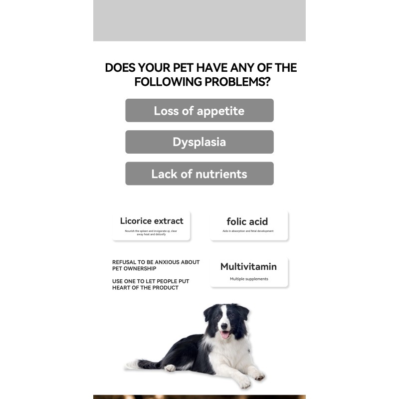 Cat Probiotics Supplier - Appetite Regulate Stomach