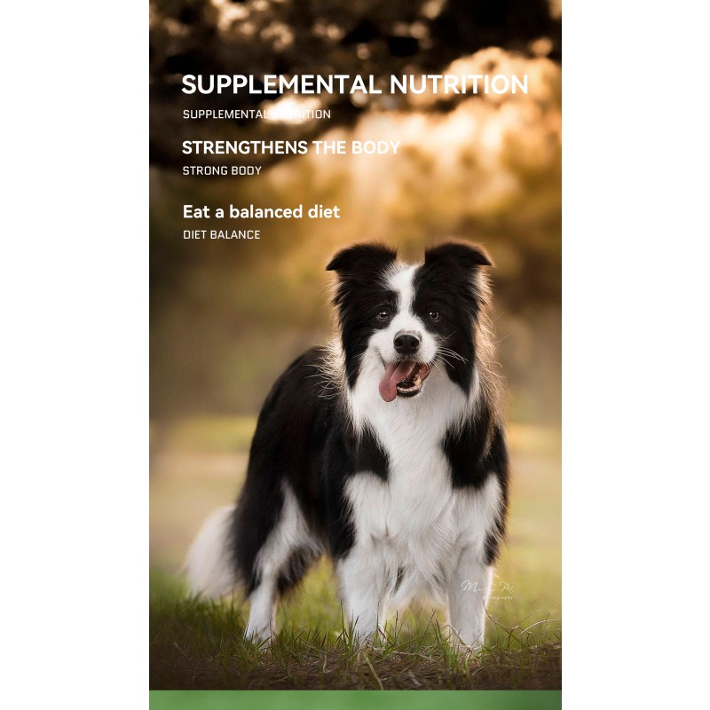 Pet Nutritional Supplements Supplier - OEM Private