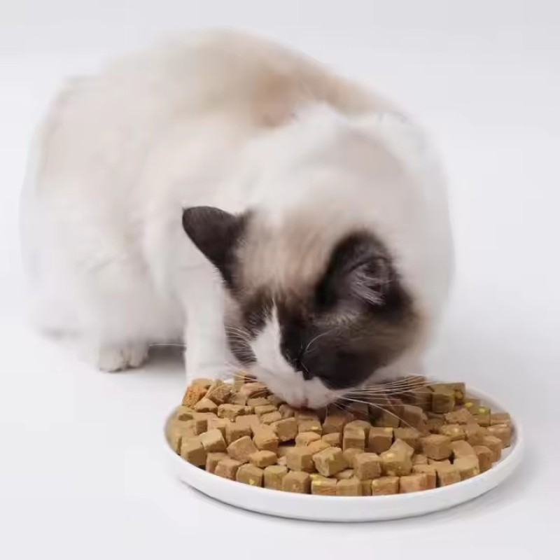 Salmon Cat Snacks Factory - Freeze Dried Grain Free