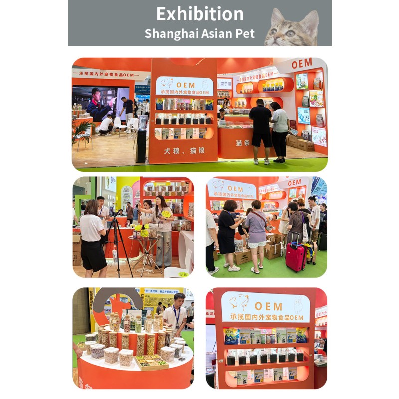 Deodorizing Litter Supplier - Bentonite Cat Litter Deodorizing Absorption Dust-Free Small Particle