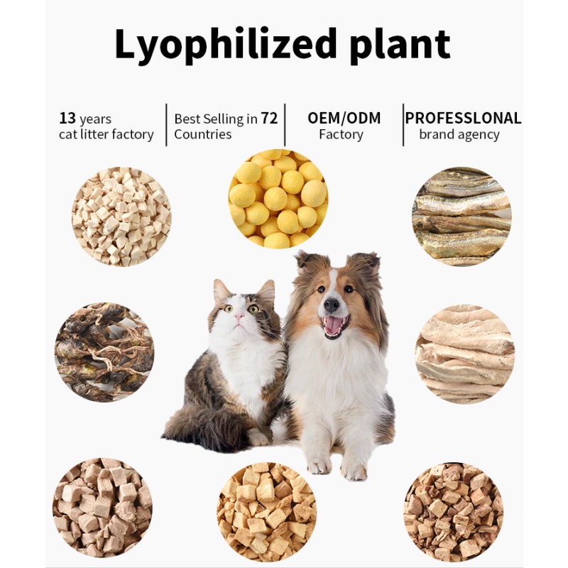 Fresh Beef Liver Supplier - Ding New Fresh Freeze-Dried Beef Liver Organic Pure Natural Snacks