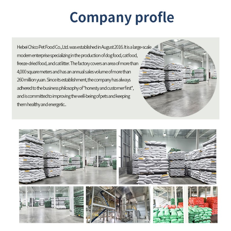 Pet Food Supplier - OEM ODM Premium Pet Food Wholesale Factory High Protein Nutrition Dry