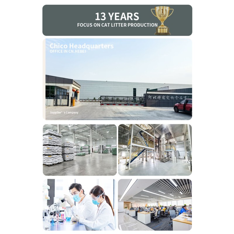 Activated Carbon Litter Manufacturer - Professional OEM Tofu Activated Carbon Dust Free Odorless