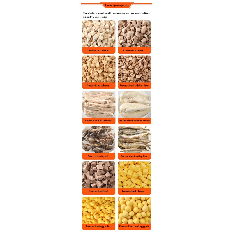 Organic Pet Food Supplier - Organic Freeze-Dried Pet Food Healthy Snacks Cats Dogs Green-Lipped