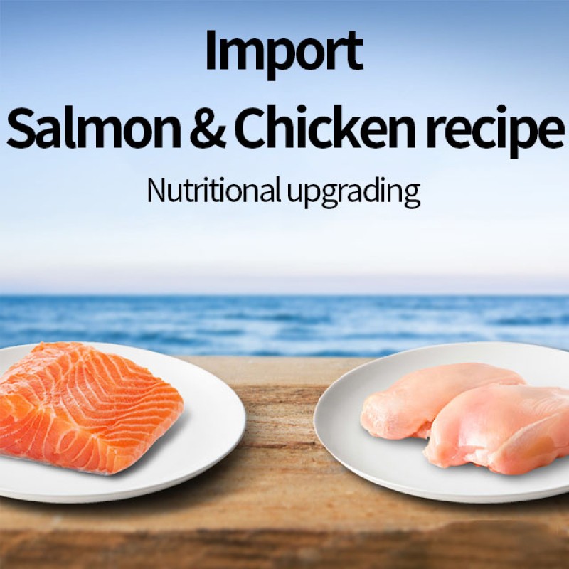 Mixed Snacks Supplier - Cat Dry Food Mixed Freeze Dried Snacks Private Label 2kg Grain-free