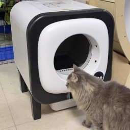 Automatic Litter Manufacturer - Cat Toilet Litter Box Self Cleaning Electric Automatic Sandbox