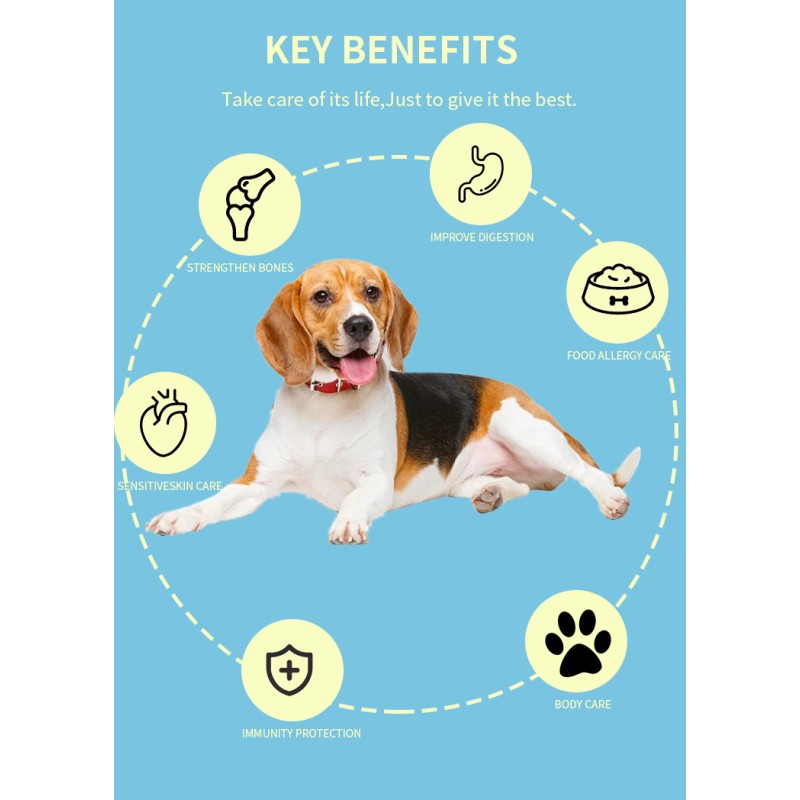 Top Dog Food Factory - Factory Direct Sales Top Dog Food OEM ODM Mini Medium Large Breed