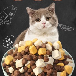 Pet Food Supplier - Cat Food Wholesale 2.50kg Universal Chicken Egg Yolk Grain Staple Food