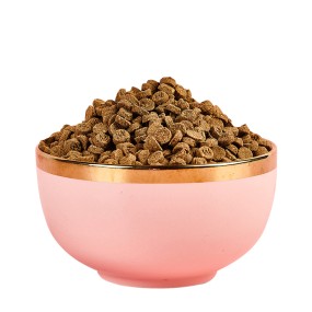 Cat Food Production Factory - Cat Food High Protein Content Low Temperature Baking Process