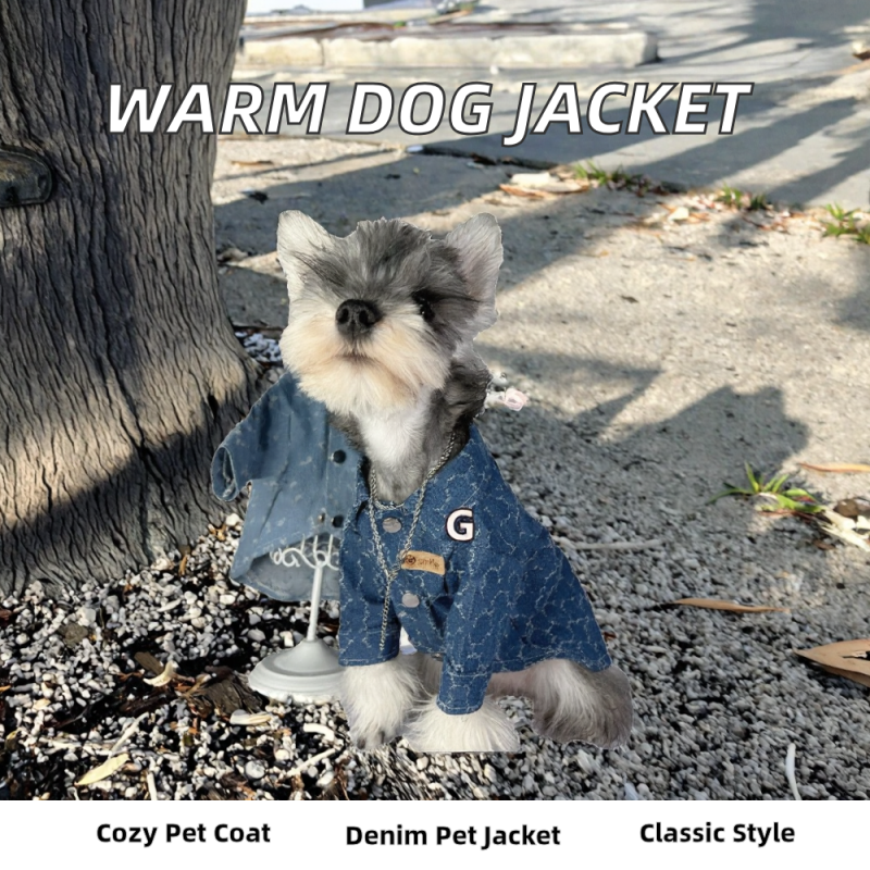 Canned Cat Food Factory - 85g OEM High-Protein Shredded Chicken Rabbit Formula Skin Coat Health