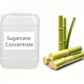 Sugarcane Extract Factory - Natural Flavours Fragrance Oil Concentrate Fruit Liquid