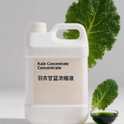 Kale Concentrate Liquid Supplier - Natural Fragrance Essence Beverage Making