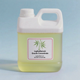 Lophatherum Concentrate Supplier - 100% Pure Natural Herb at Factory Price