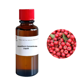 Hawthorn Concentrate Supplier - Food Grade Natural Flavoring for Beverages