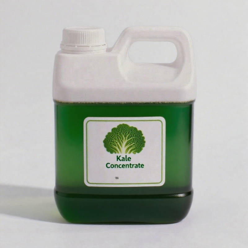 Kale Extract Liquid Supplier - Natural Fragrance Essence for Beverage Making