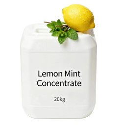 Lemon Mint Concentrate Factory - High Concentrated Plant Extract Natural Flavor