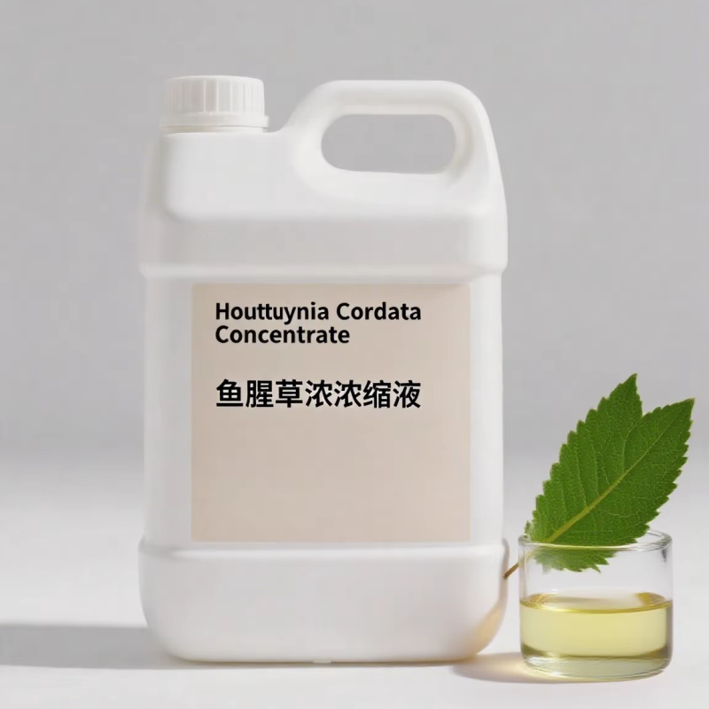 Houttuynia Cordata Extract Supplier - Traditional Chinese Food Beverage Ingredient