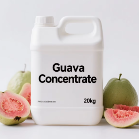 Guava Juice Concentrate Supplier - High 70 Brix Natural Flavor for Food Beverages