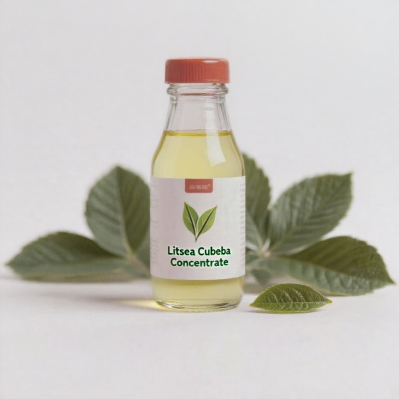 Litsea Cubeba Concentrate Factory - Natural Industrial Flavor Essence for Beverages