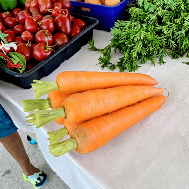 Carrot Juice Concentrate Supplier - Factory Direct Wholesale for Ingredients Use