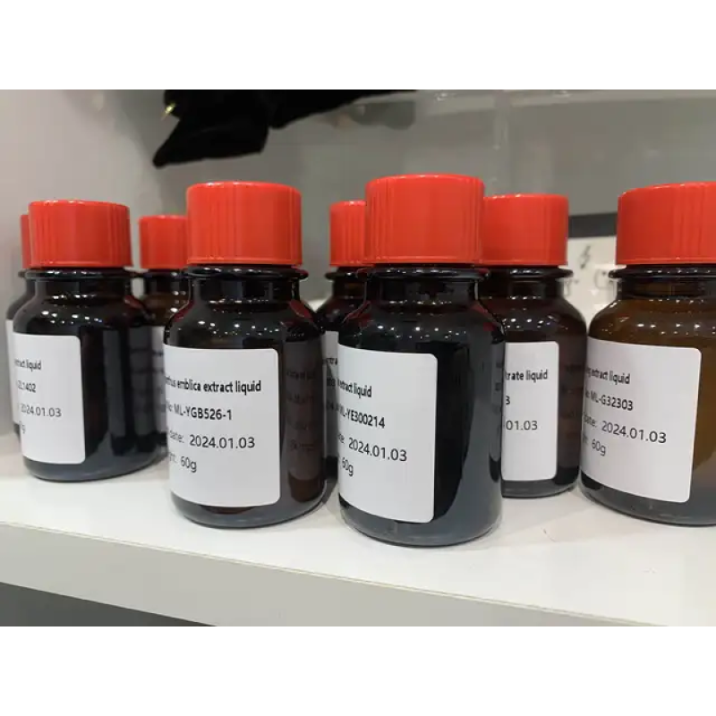 Kale Concentrate Liquid Supplier - Natural Fragrance Essence Beverage Making