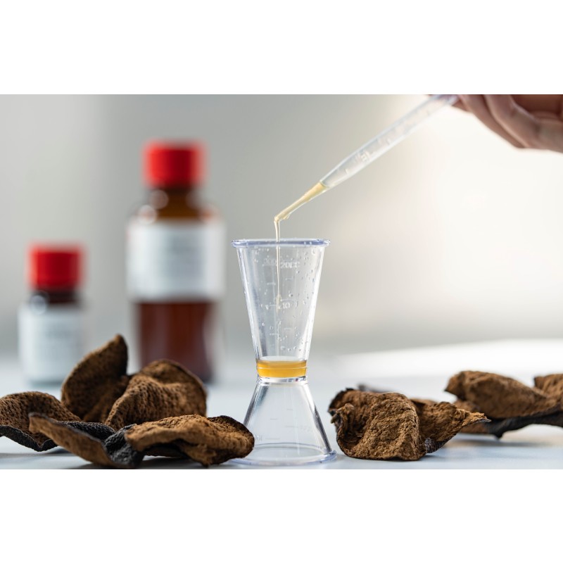 Tangerine Peel Concentrate Supplier - High Quality 100% Chen Pi Dried Orange Extract