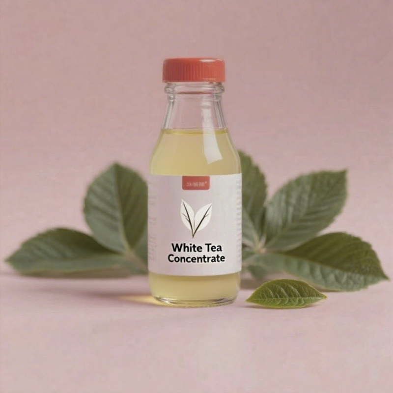 White Tea Concentrate Factory - High-quality Pure Natural for Beverage Making