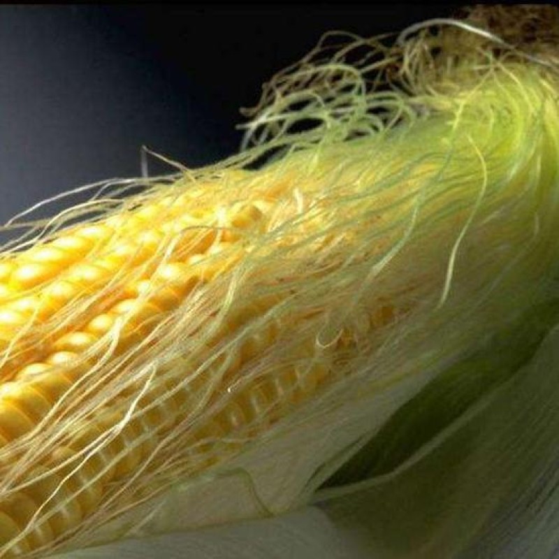 Corn Silk Extract Factory - Wholesale 100% Natural Spicy Taste Tea Health Use