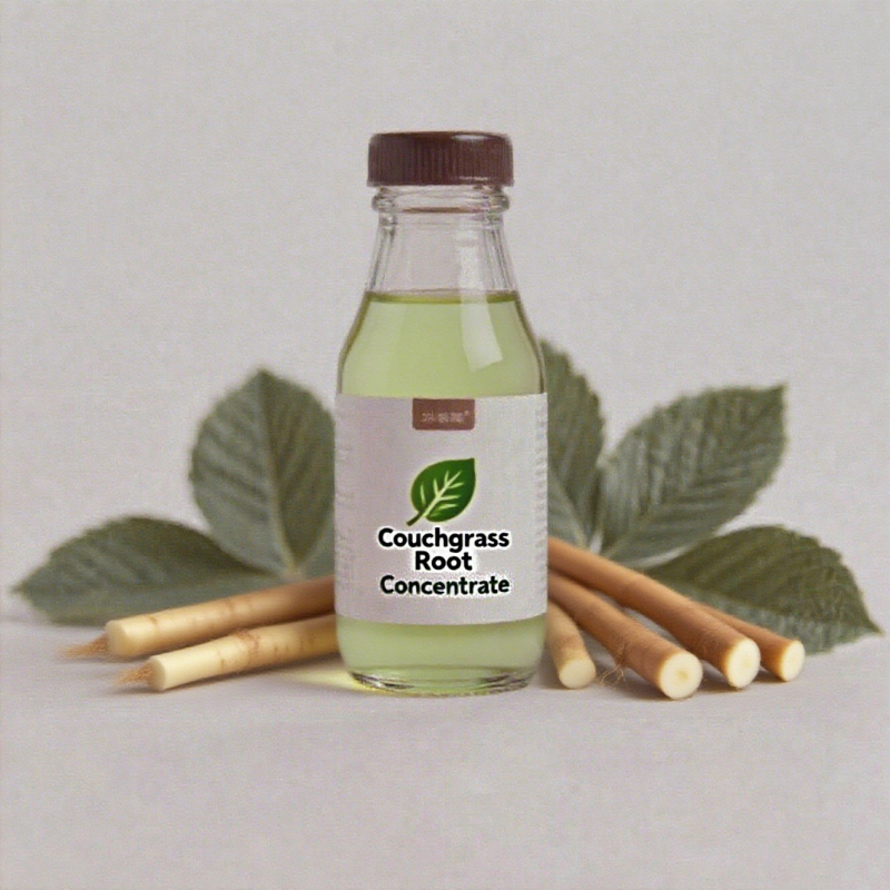 Couchgrass Root Concentrate Manufacturer - 100% Pure Natural for Industrial Flavor