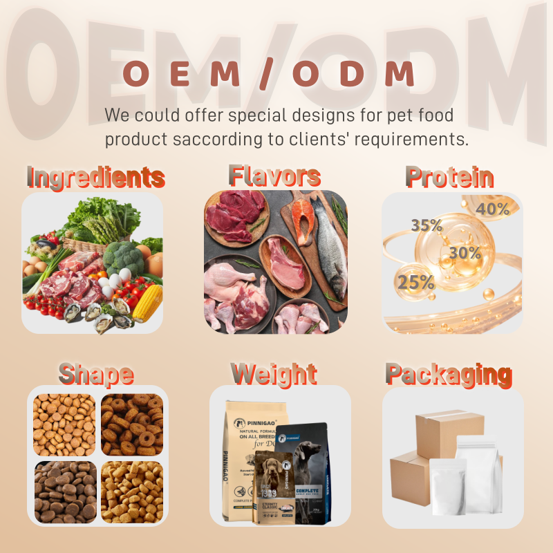 Cat Dry Food Supplier - High Protein Low Fat Custom