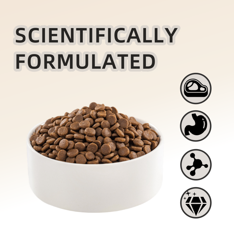 Dry Dog Food Supplier - High Protein Chicken Meat