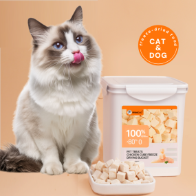 Freeze Dried Pet Snacks Supplier - Factory Direct Organic