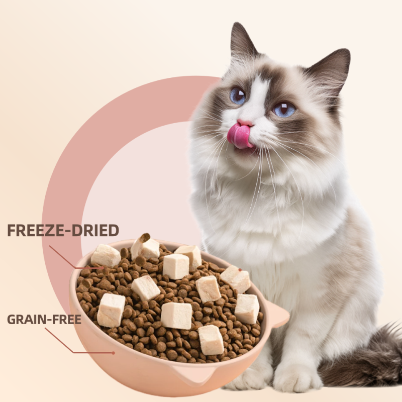Pet Dry Food Manufacturer - High Protein Pure Natural