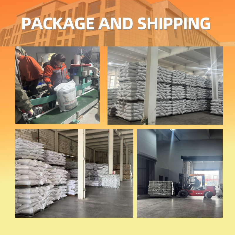 Freeze Dried Cat Snack Supplier - Natural Chicken Grass