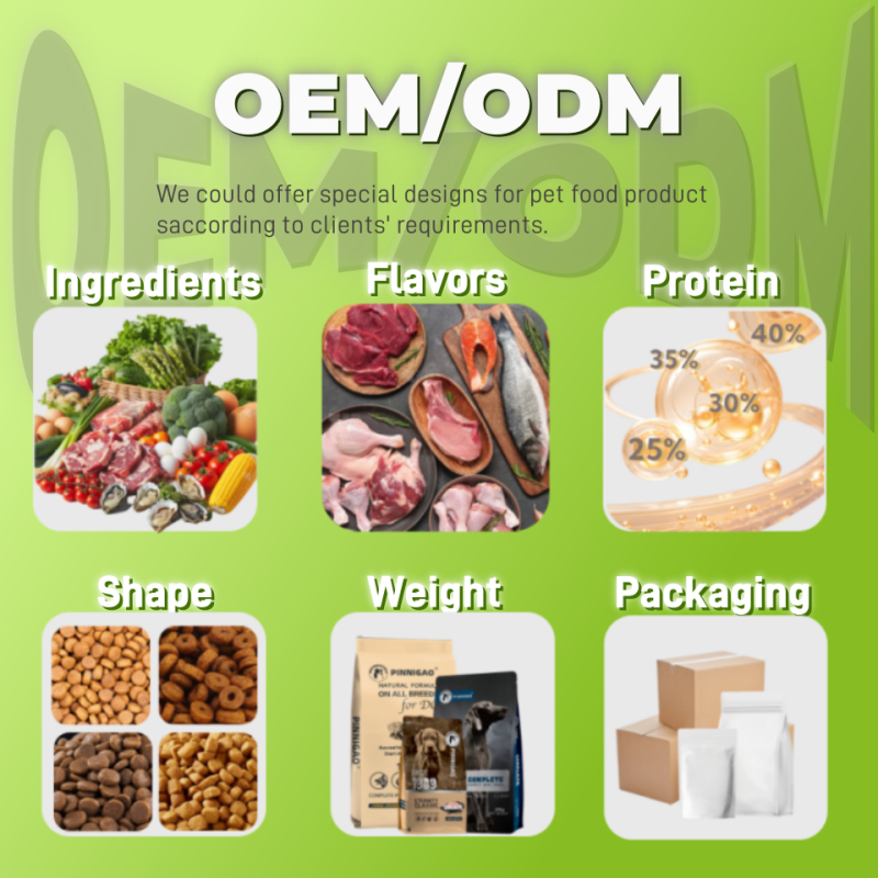 Dry Pet Food Supplier - High Quality Protein Nutrition