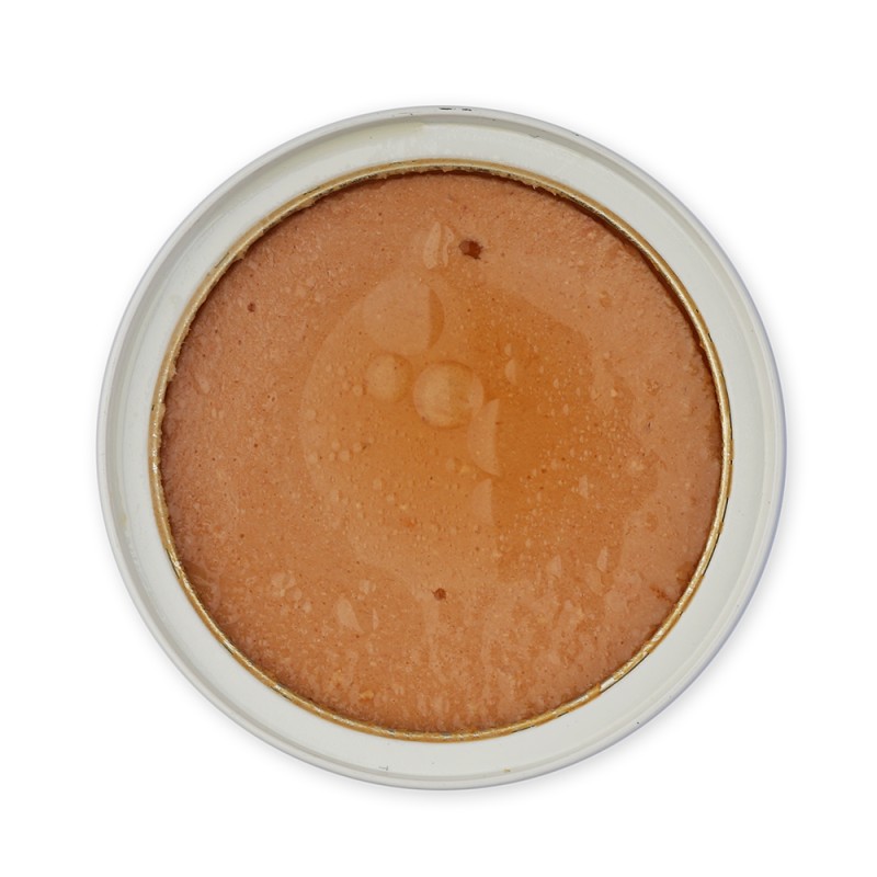 Cat Wet Food Manufacturer - OEM Tuna Shrimp Jelly Flavor Canned Food for Cats