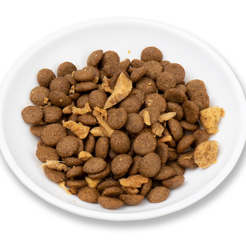 Dry Pet Food Supplier - Factory Supply Dry Dog Food OEM ODM Cat Food for Pets
