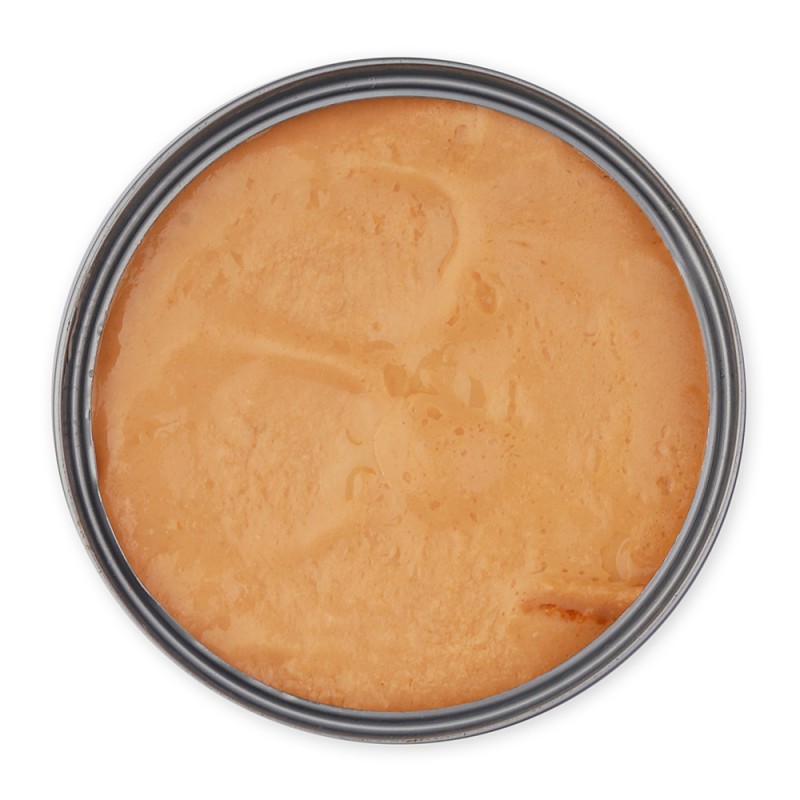 Cat Wet Food Manufacturer - OEM Tuna Shrimp Jelly Flavor Canned Food for Cats